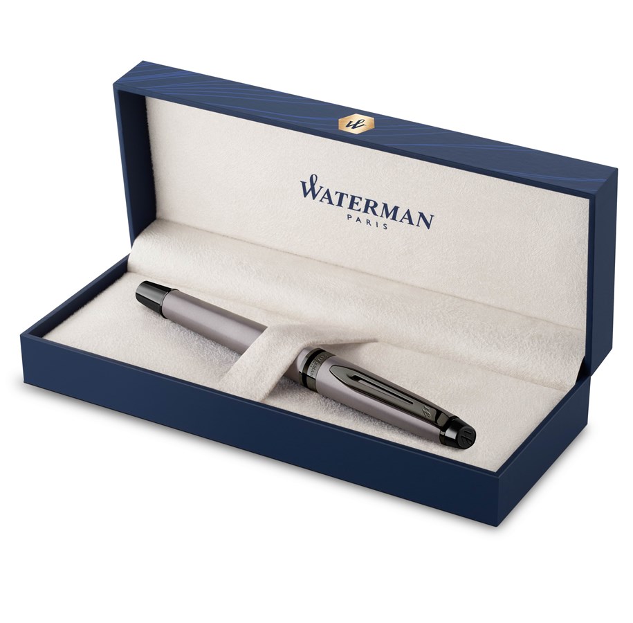 Waterman Expert Metallic SilverSE